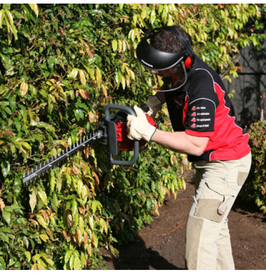 Honda HHH25D Hedge Trimmer