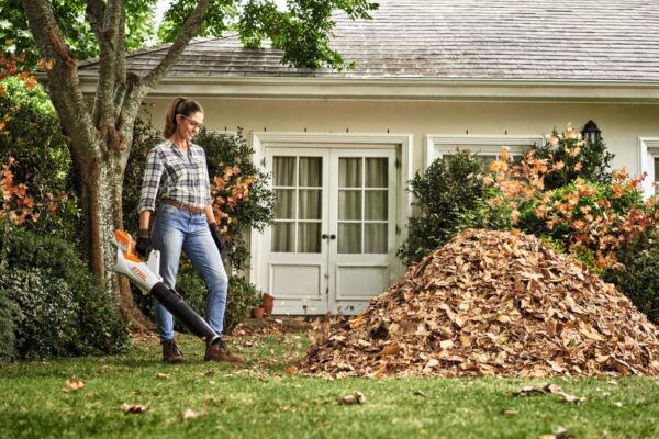 STIHL BGA 60 Battery Blower AK System with Battery and Charger, BGA60