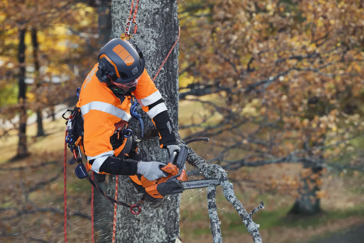 HUSQVARNA T525 12 in bar Top Handle Chainsaw