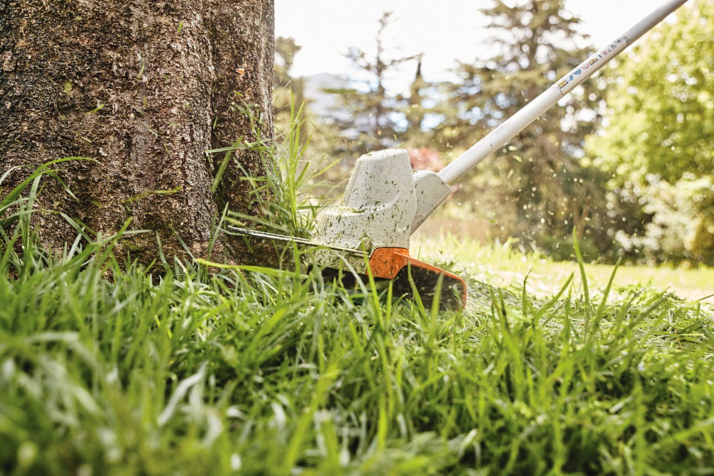 STIHL FSA 57 Battery Grass Trimmer AK System With Battery and Charger, FSA57
