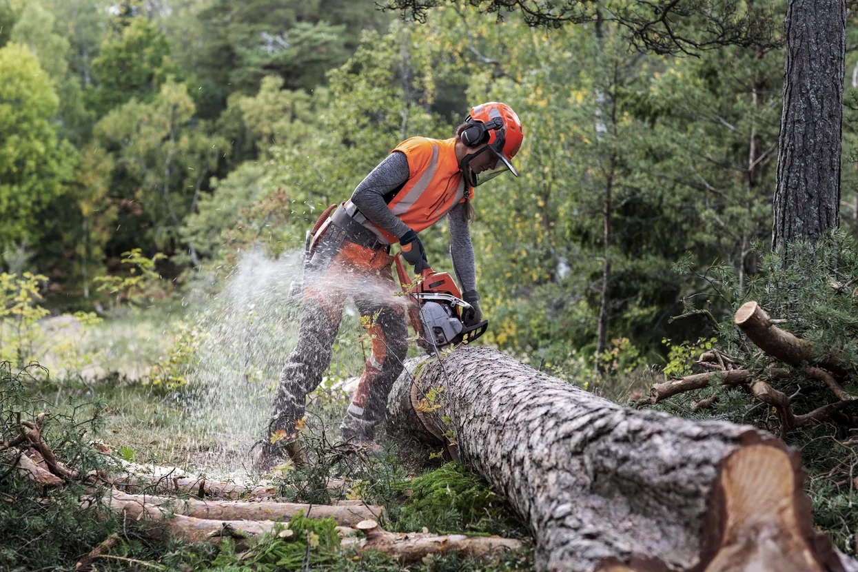 HUSQVARNA 550 XP® Mark II 16 in Bar Chainsaw