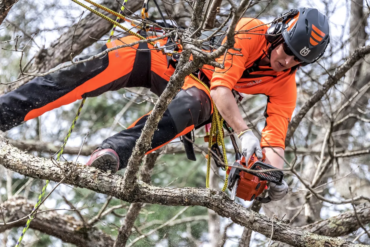 HUSQVARNA T525 12 in bar Top Handle Chainsaw