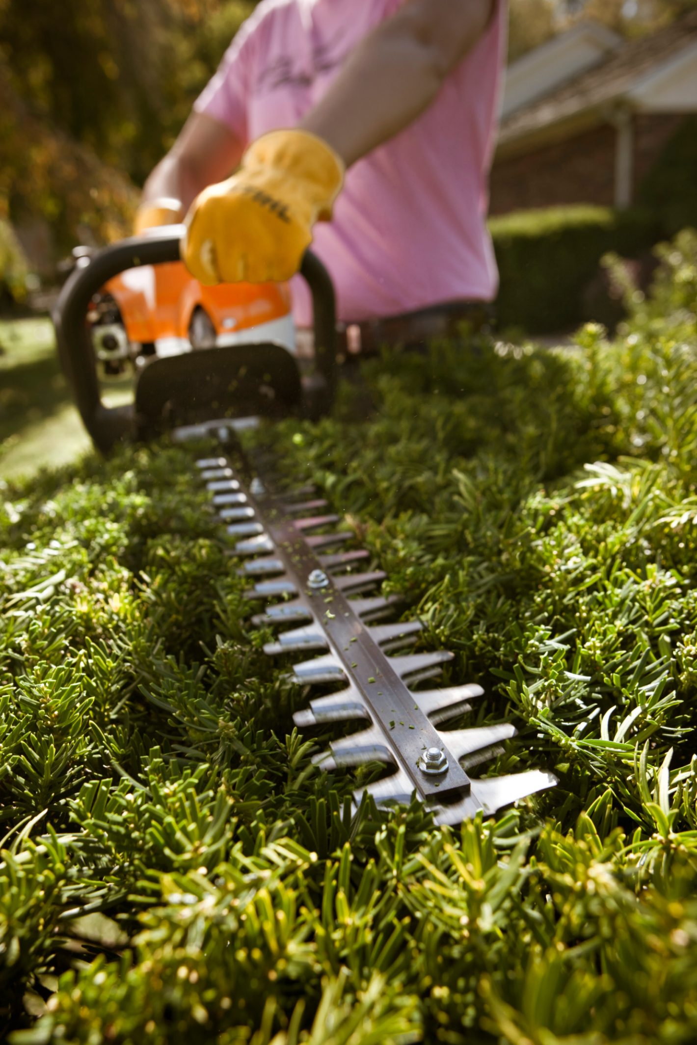 STIHL HS 45 Petrol Hedge Trimmer 24 in Blade, HS45