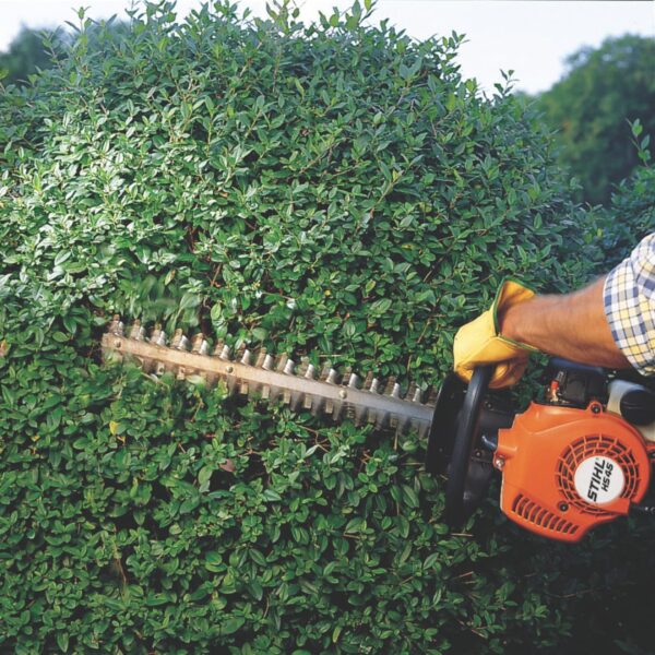 STIHL HS 45 Petrol Hedge Trimmer 24 in Blade, HS45