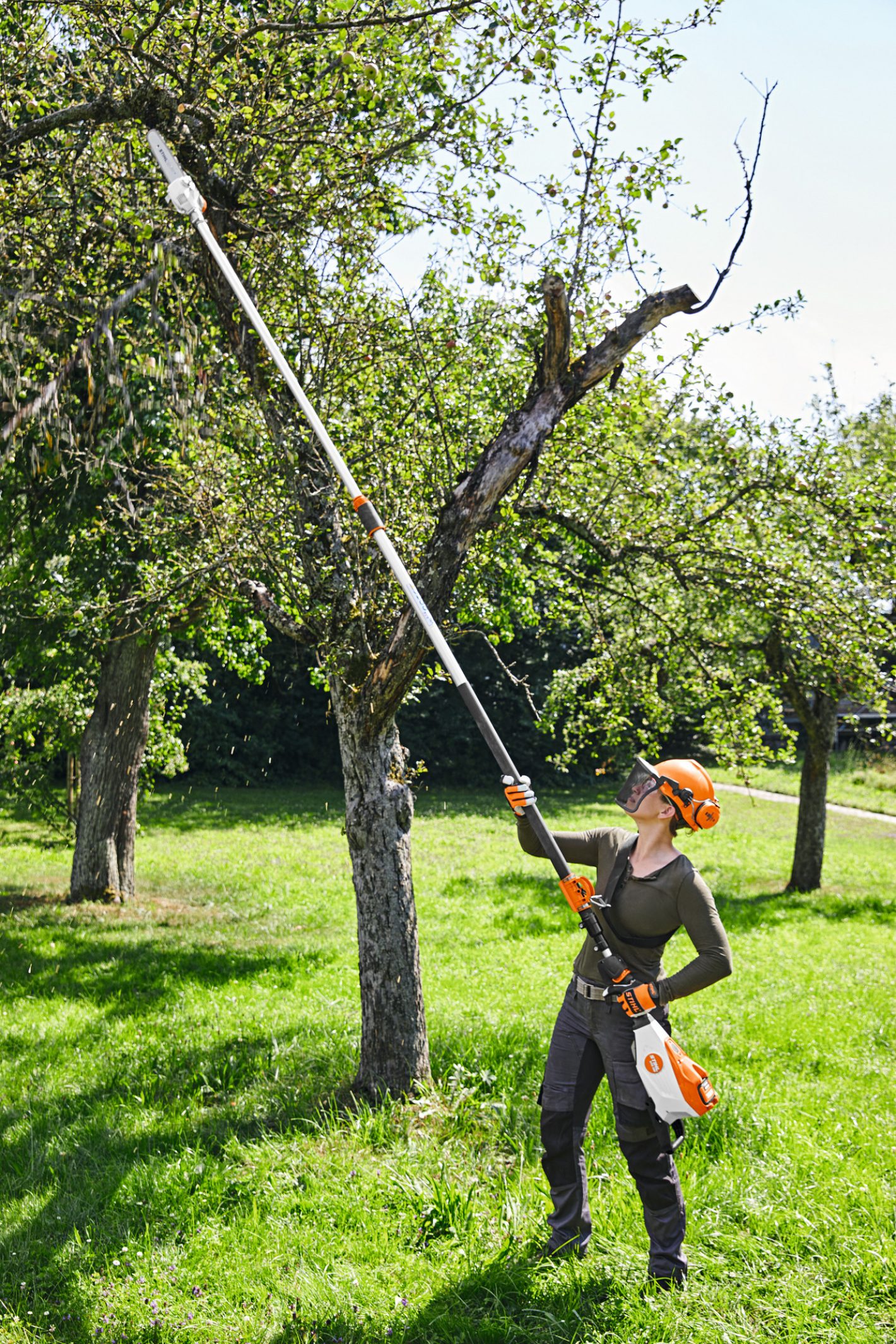 STIHL HTA 135 Battery Pole Pruner AP System, HTA135