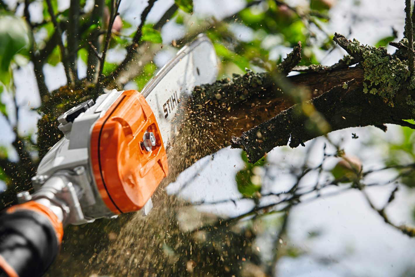 STIHL HTA 135 Battery Pole Pruner AP System, HTA135