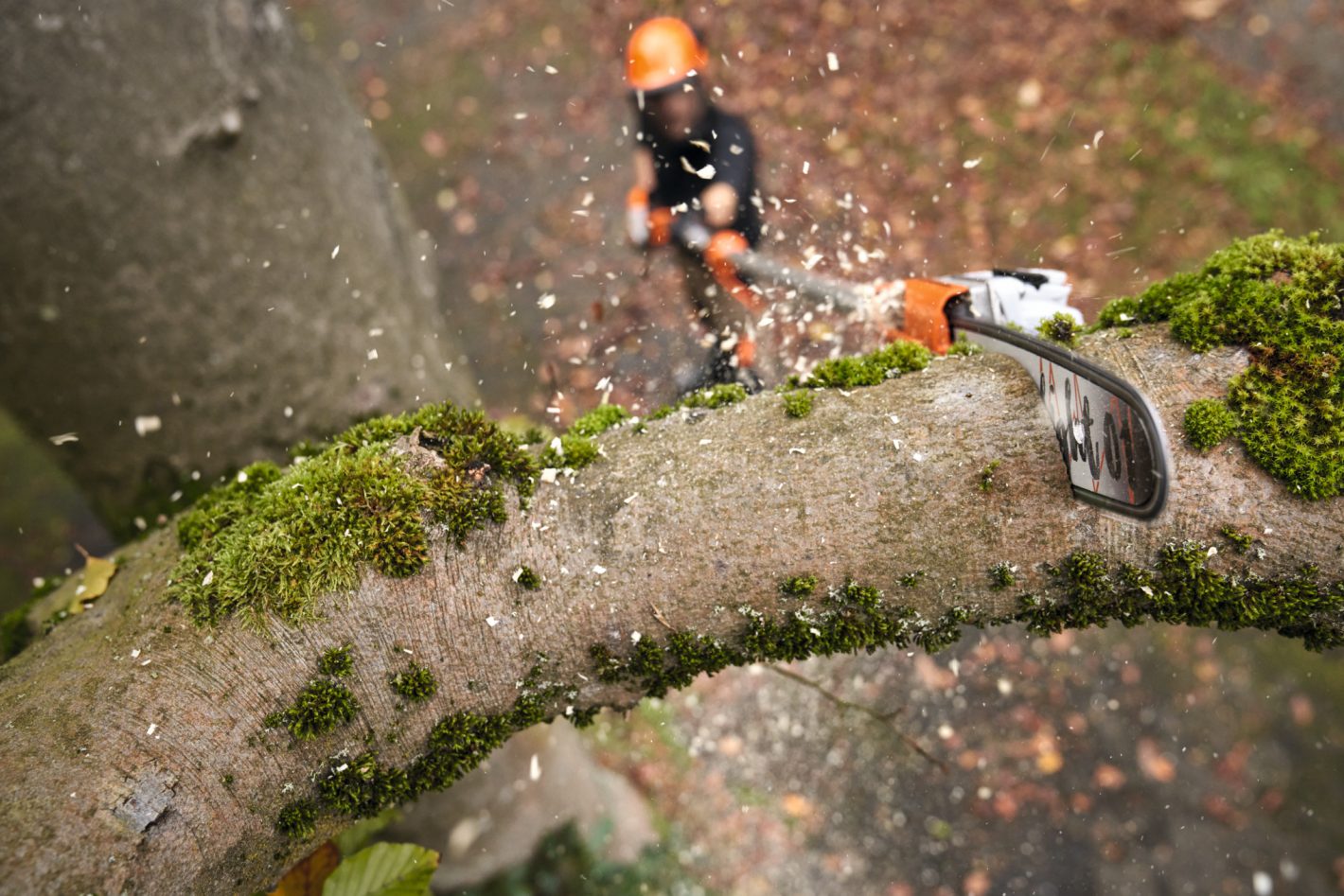 STIHL HTA 160 Battery Pole Pruner AP System, HTA160