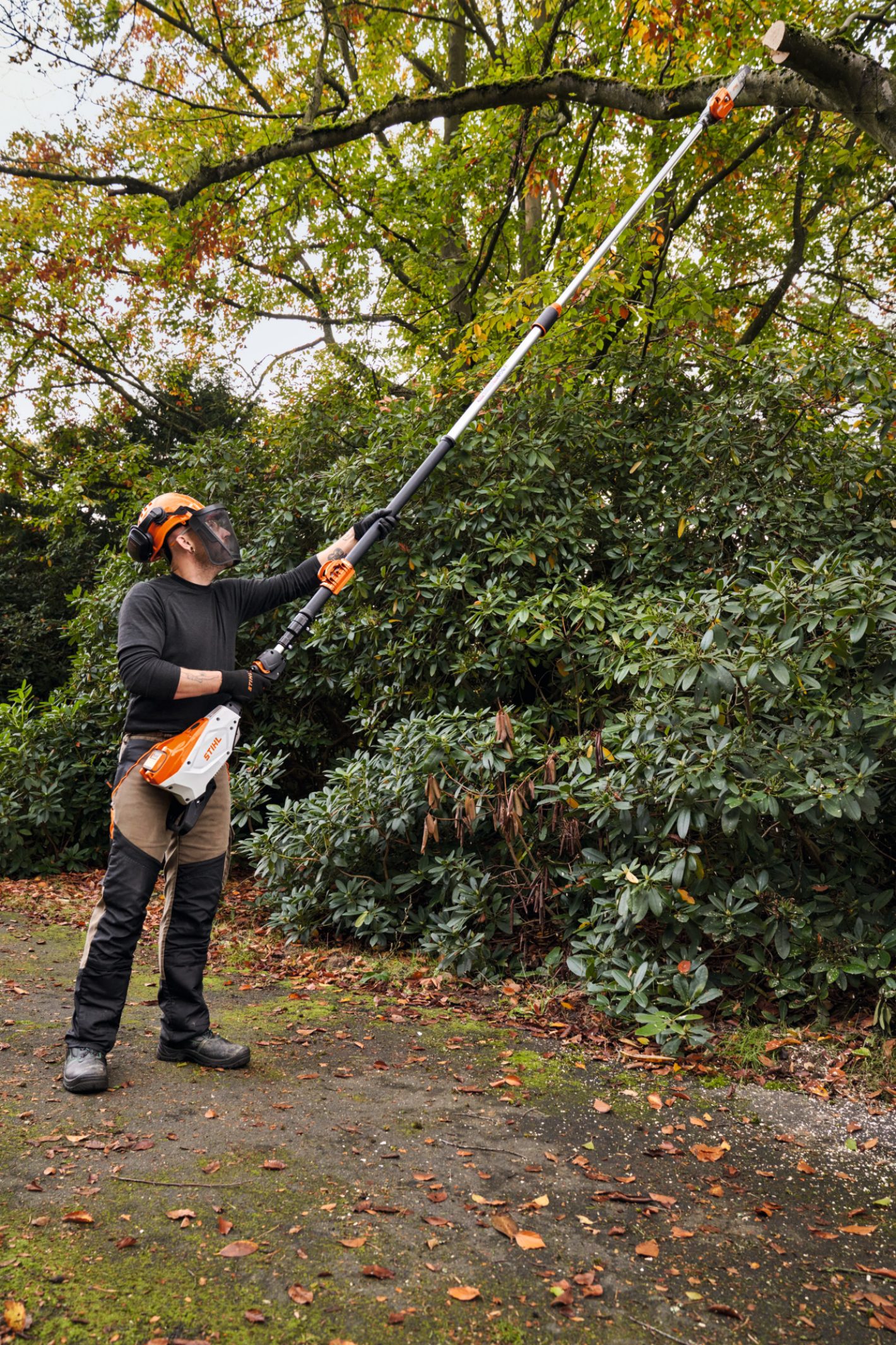 STIHL HTA 160 Battery Pole Pruner AP System, HTA160