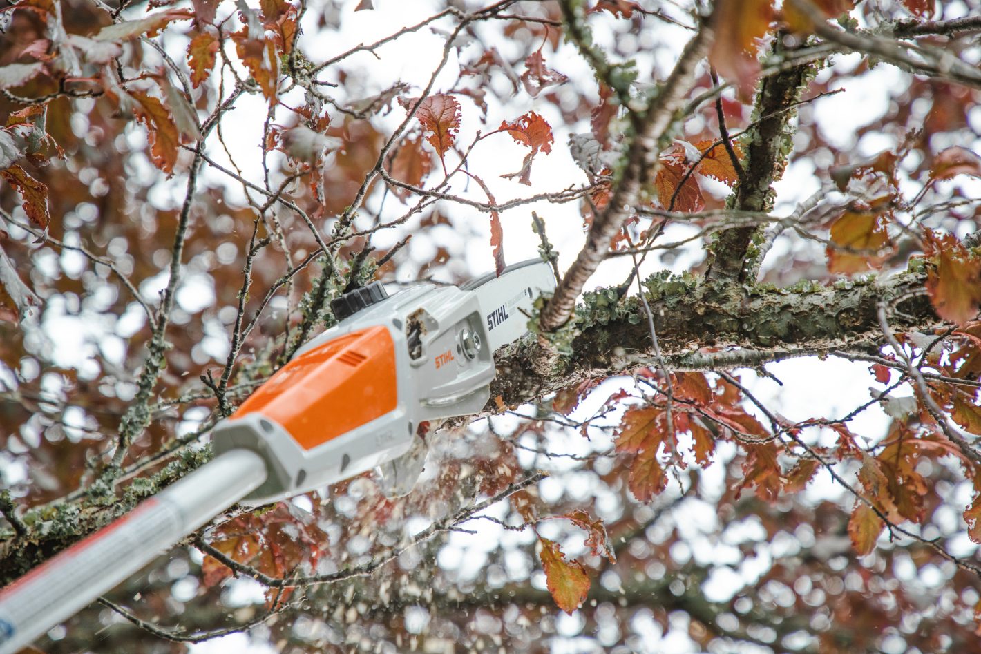 STIHL HTA 50 Battery Pole Pruner AK System Skin Only, HTA50