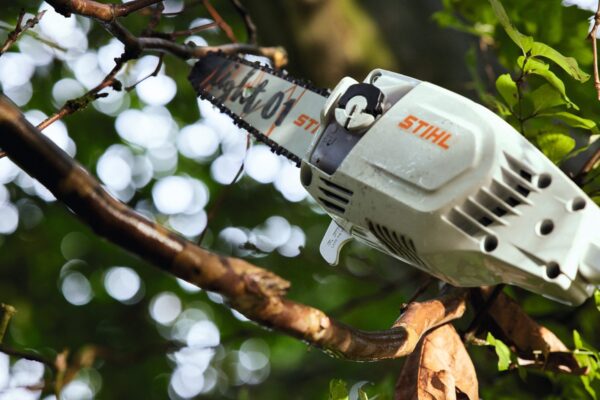 STIHL HTA 86 Battery Pole Pruner AP System Skin Only, HTA86
