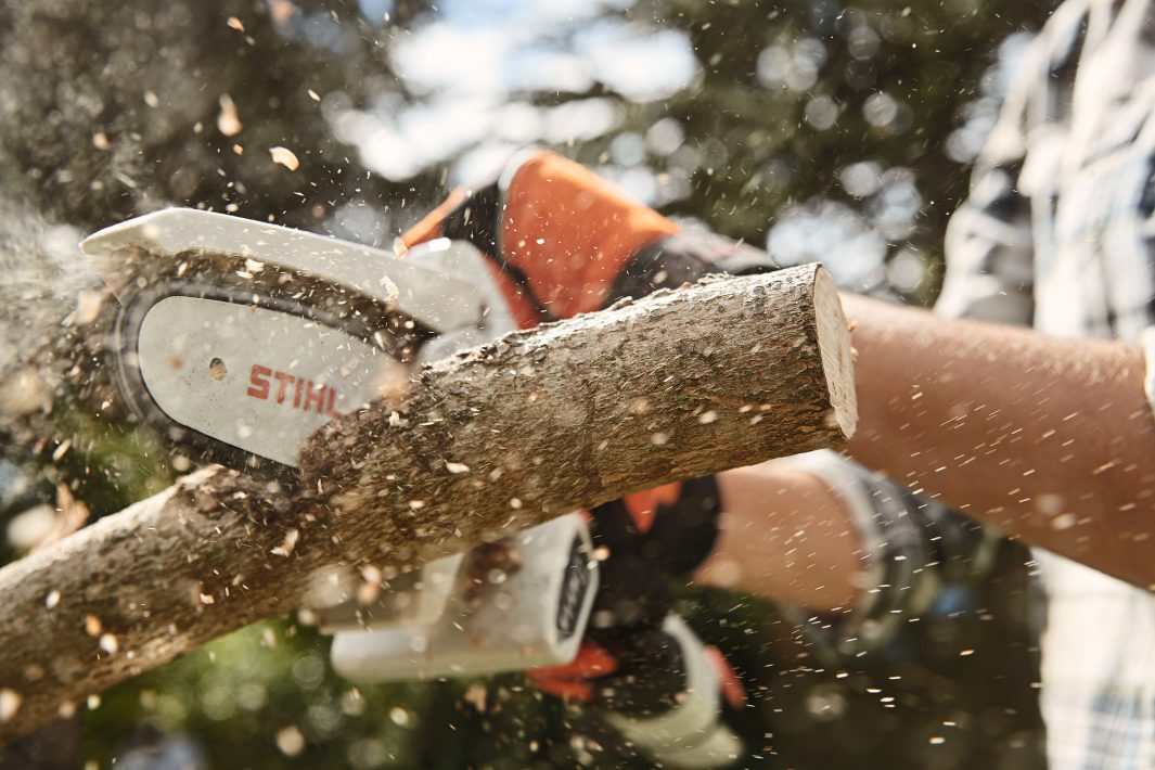 STIHL GTA 26 Battery Pruner AS System kit with Batter and Charger,   GTA26 chainsaw