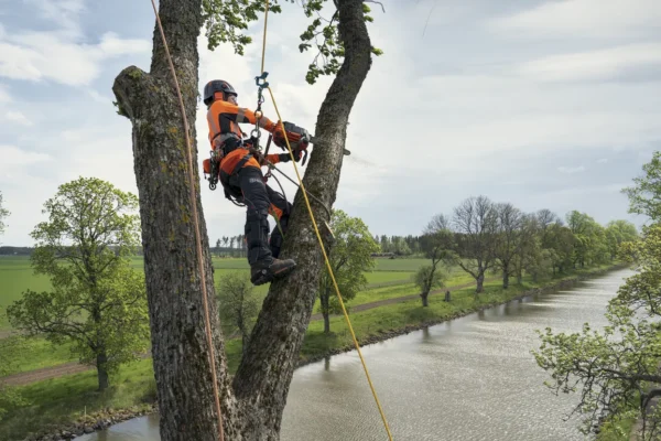 HUSQVARNA T540 XP? Mark III 12 in Bar Top Handle chainsaw