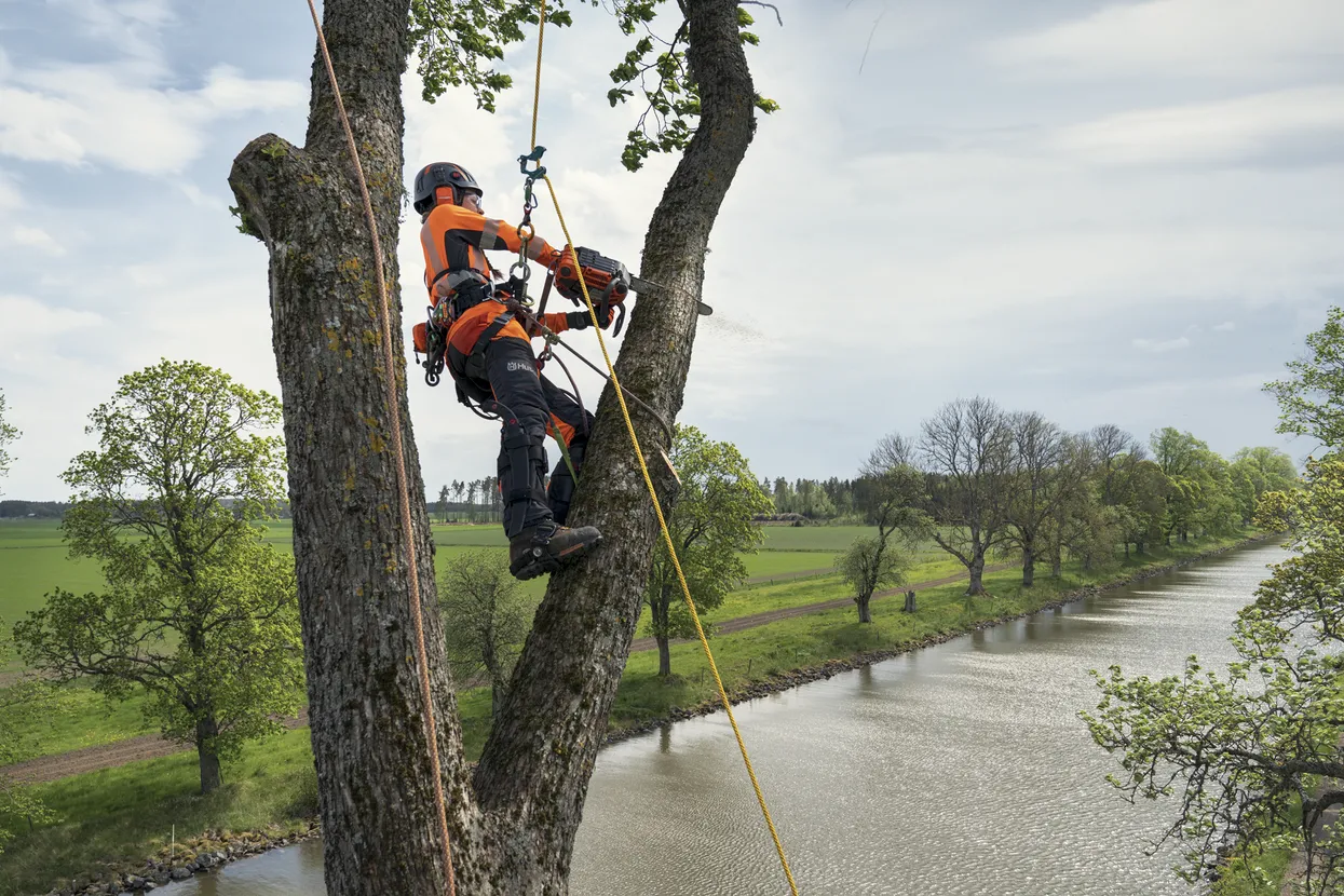 HUSQVARNA T540 XP? Mark III 12 in Bar Top Handle chainsaw