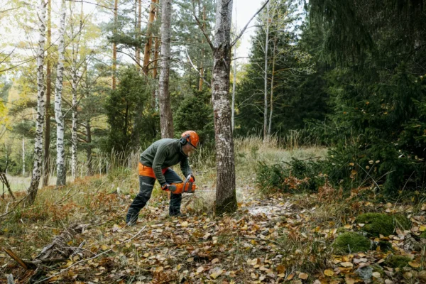 Husqvarna 435i Battery chainsaw