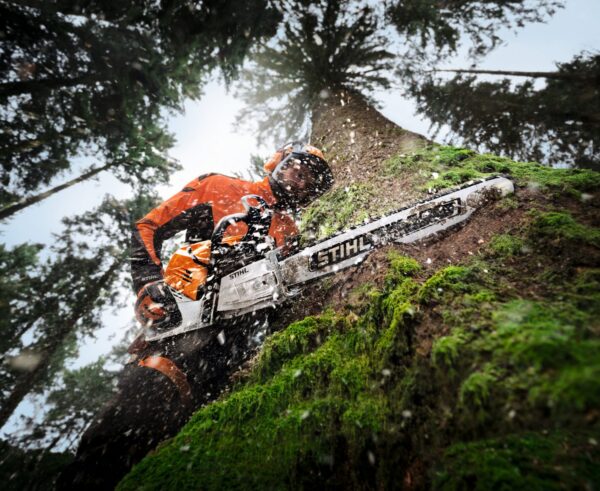 STIHL MS 500? Petrol Chainsaw, MS500, MS500i